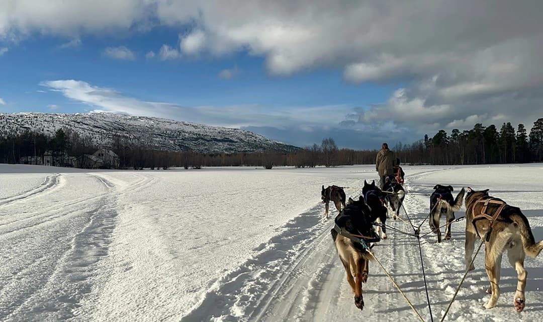 Tour highlight image