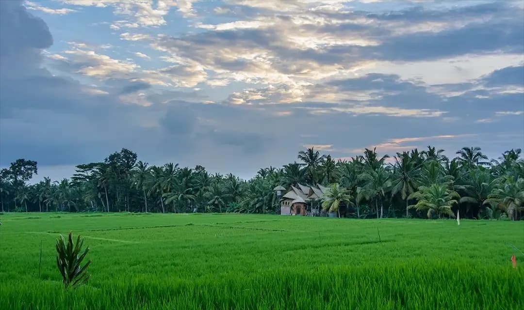 Ubud (1-hour travel)