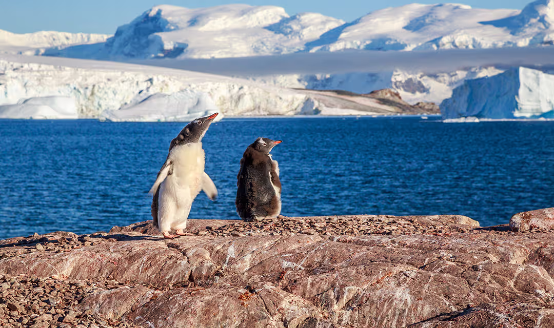 Fly-Cruise Expeditions