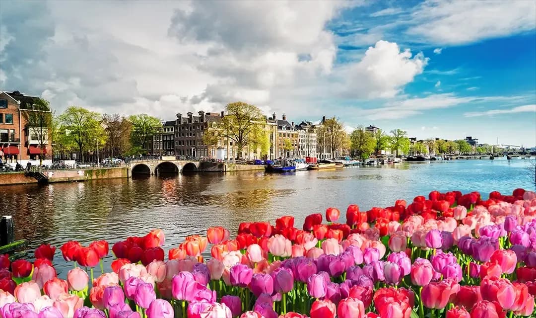 Why Visit Netherlands?
