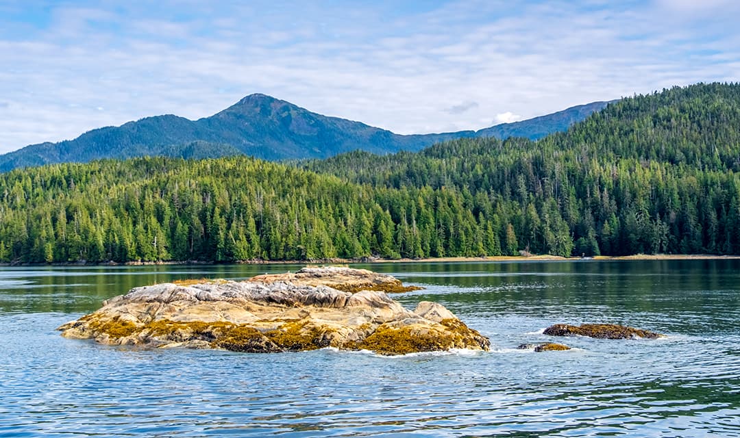 Tour highlight image