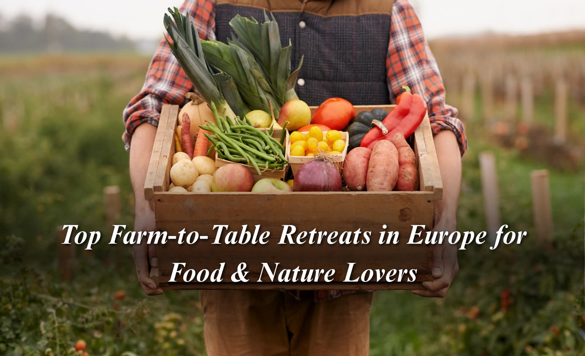 Top Farm-to-Table Retreats in Europe for Food & Nature Lovers