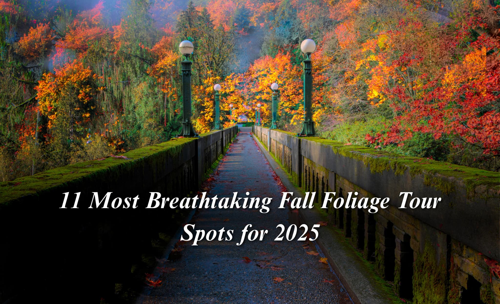11 Most Breathtaking Fall Foliage Tour Spots for 2025