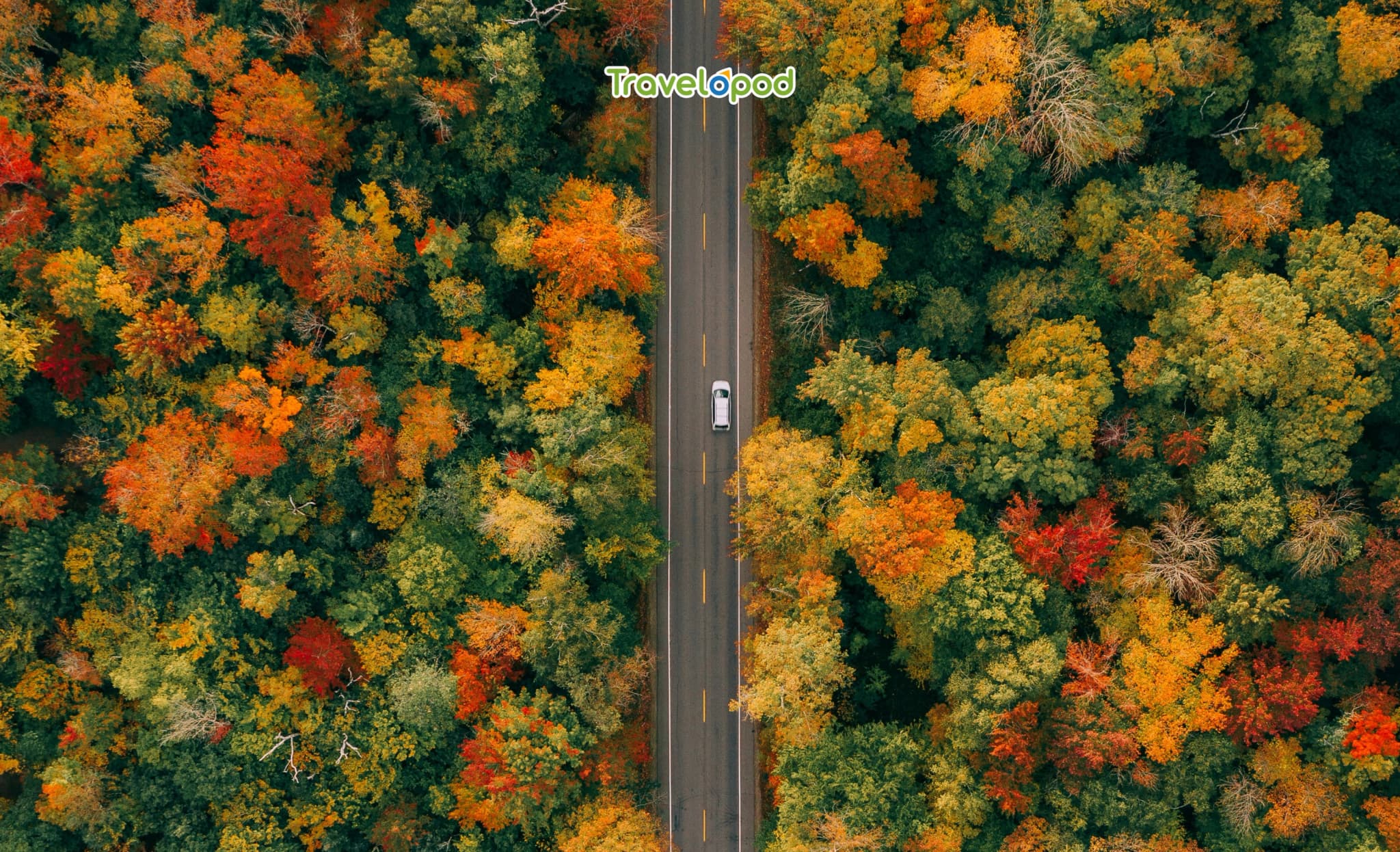 Blue Ridge Parkway, USA: Miles Full of Color