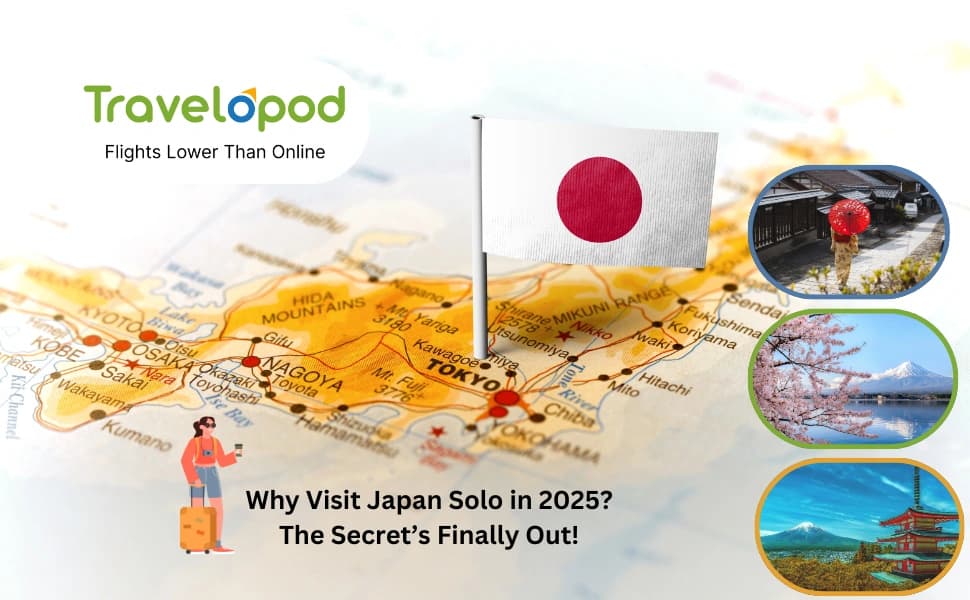 Why Visit Japan Solo in 2025? - The Secret is Finally Out!