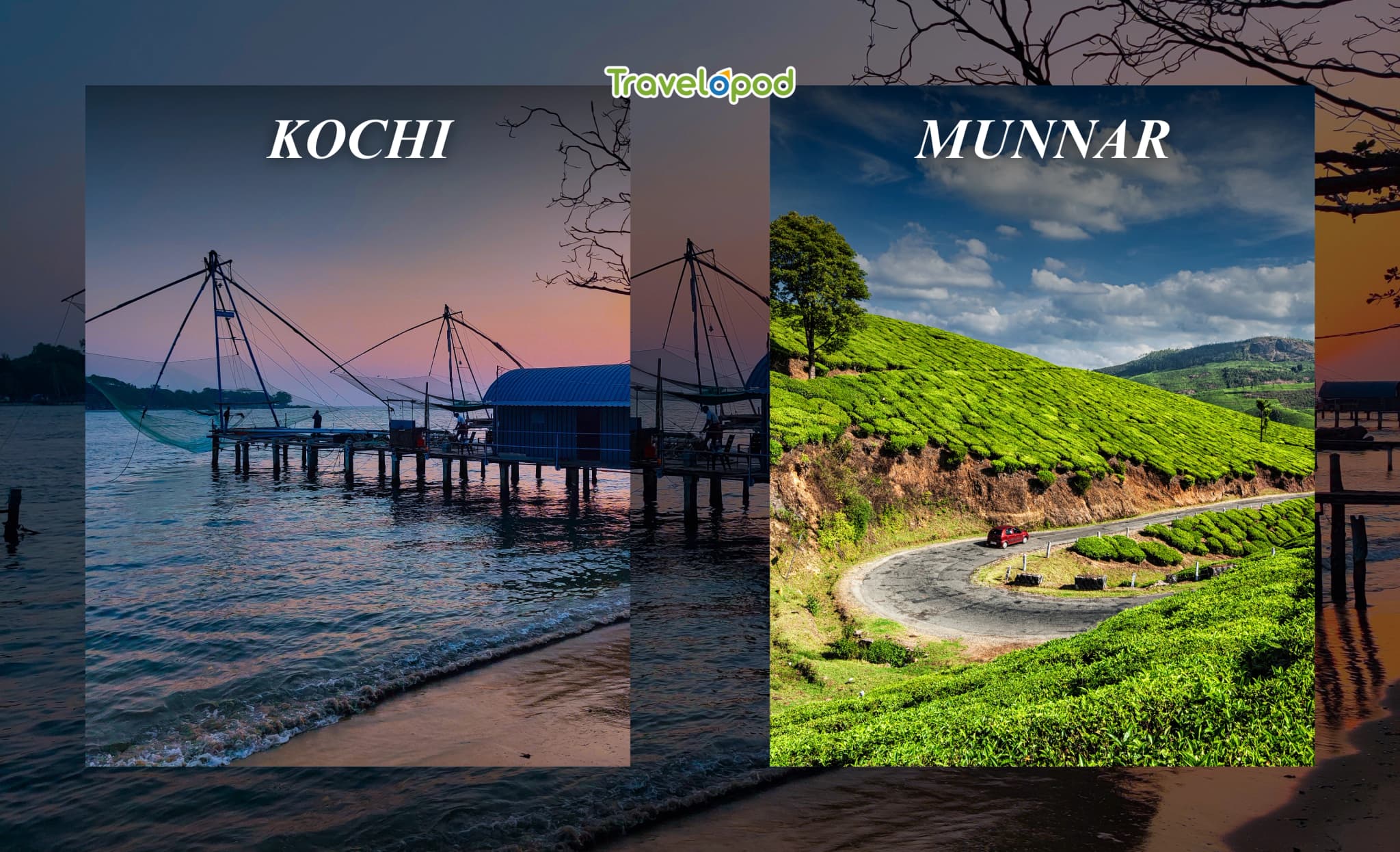 Kochi to Munnar – Tea Trails and Misty Road