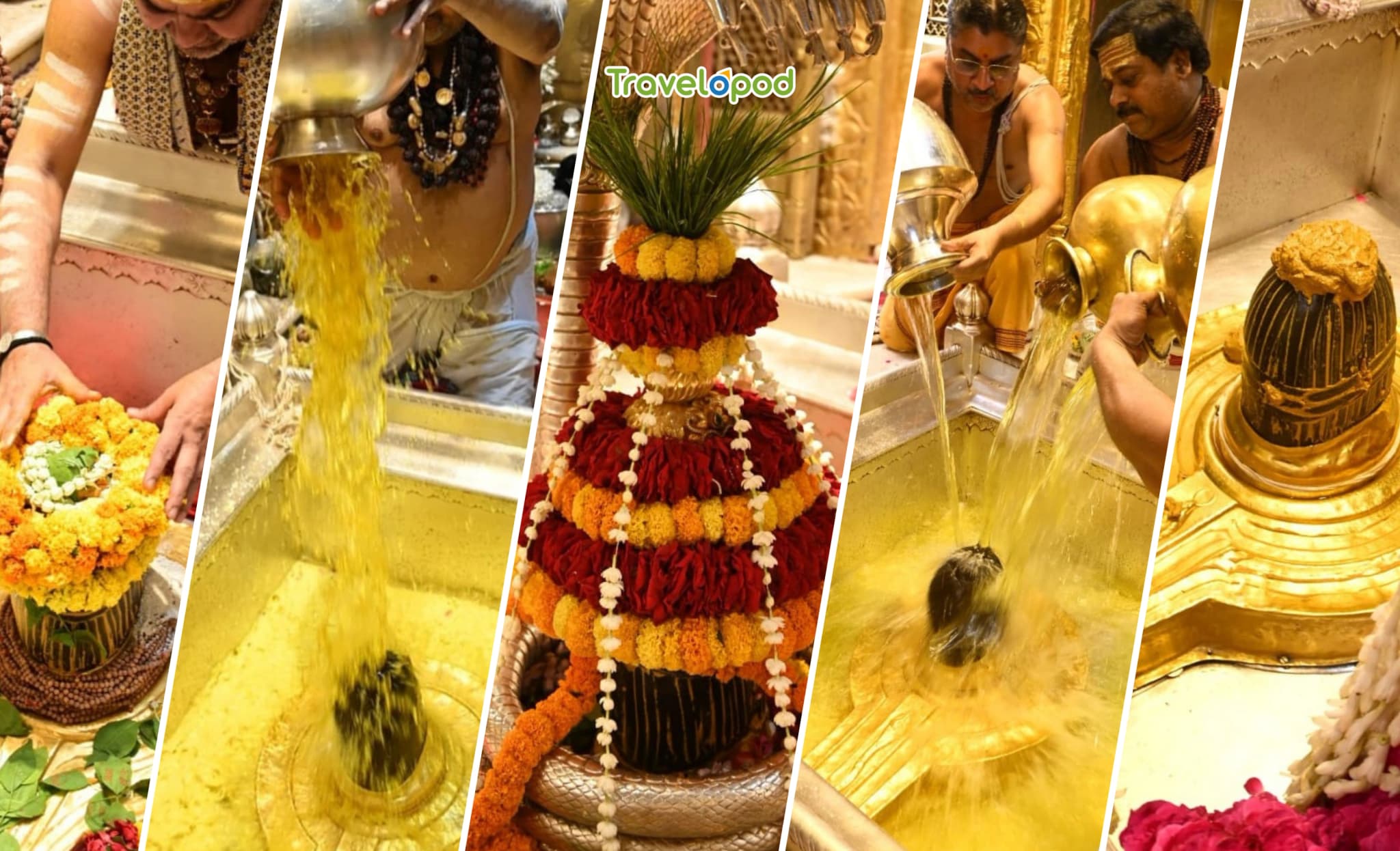 Rudra Abhishek at Kashi Vishwanath Temple

