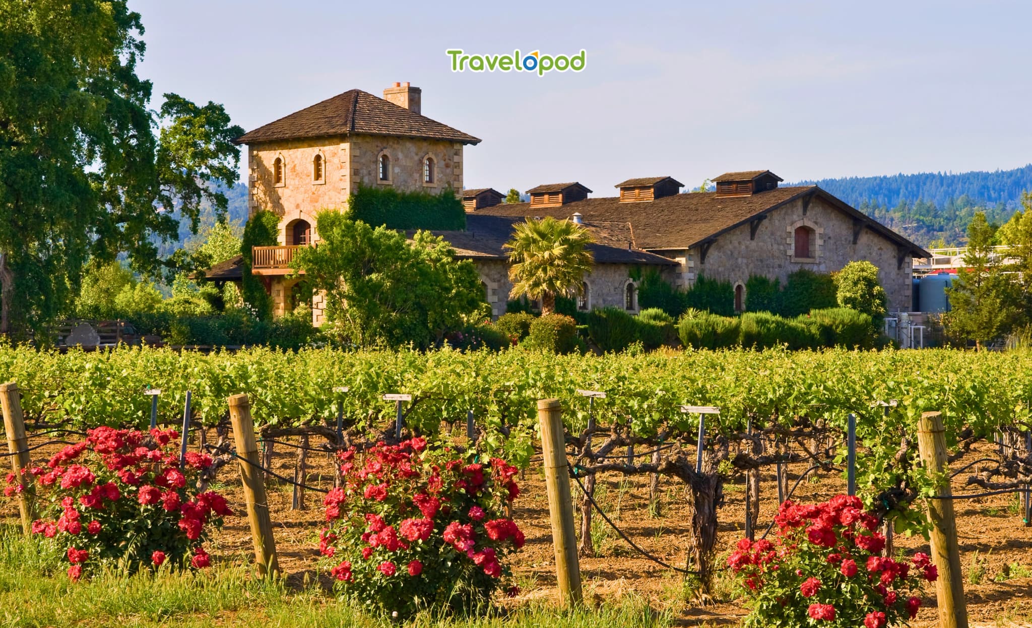 Napa Valley - For the Mom Who Savors Exquisite Taste

