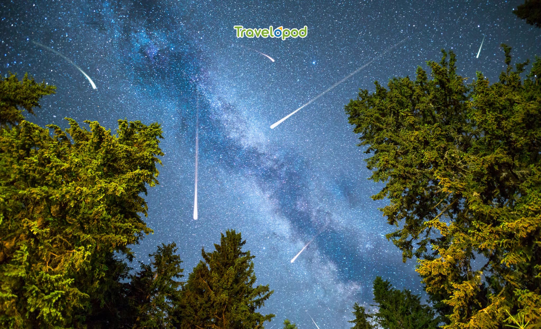 The Orionid Meteor Shower