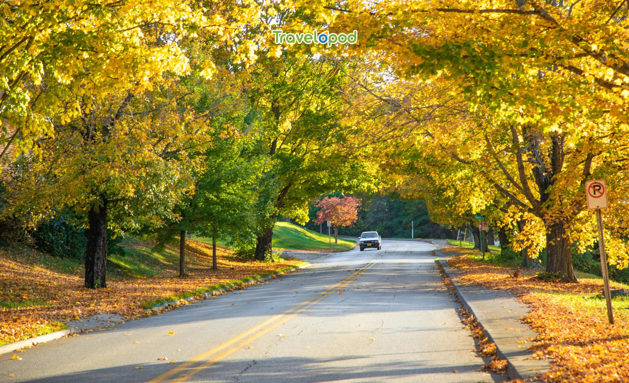 Skyline Drive (Virginia)
