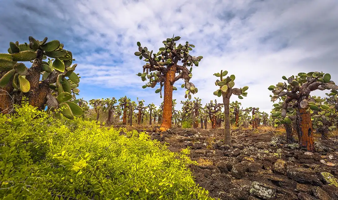 Tour highlight image