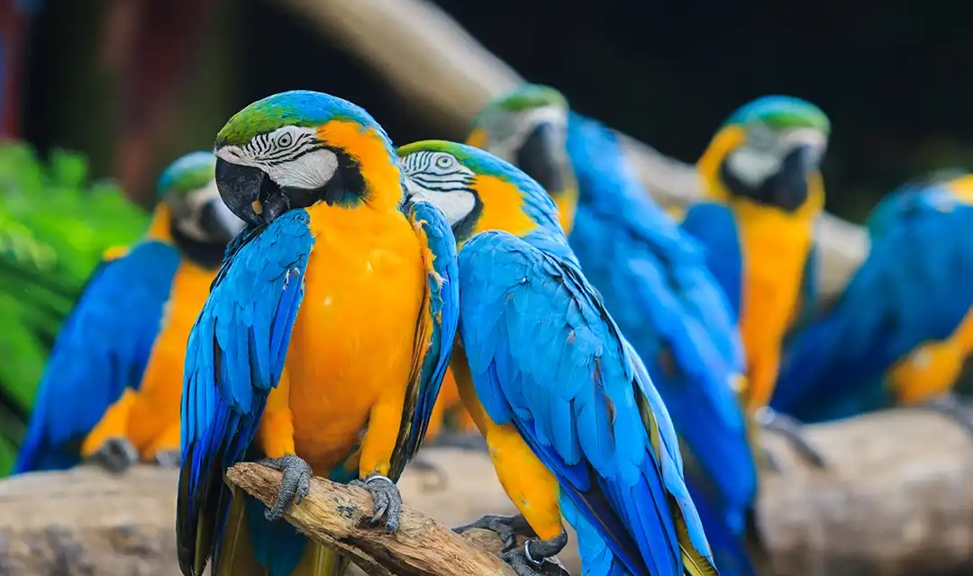 Tour highlight image