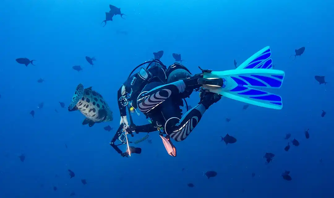 Tour highlight image