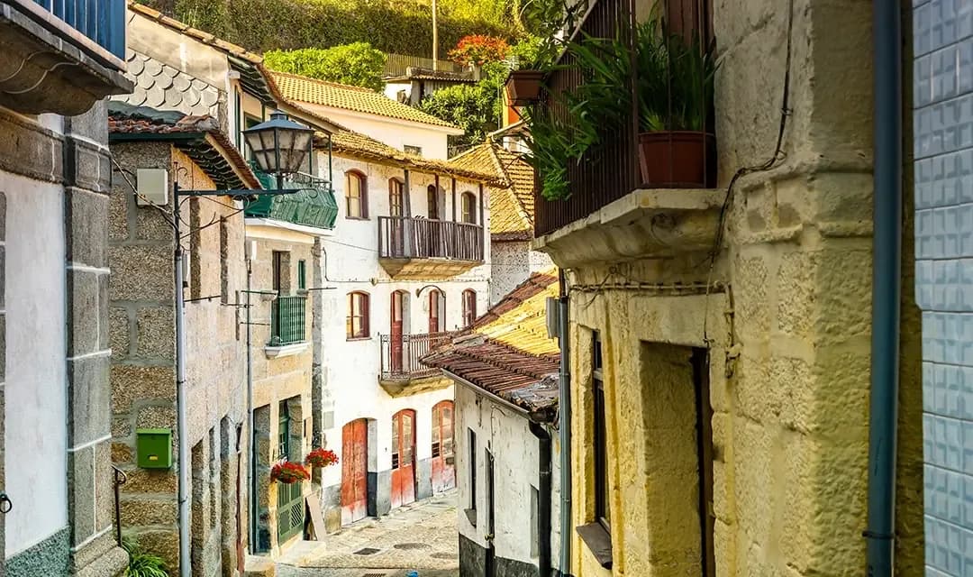 Tour highlight image