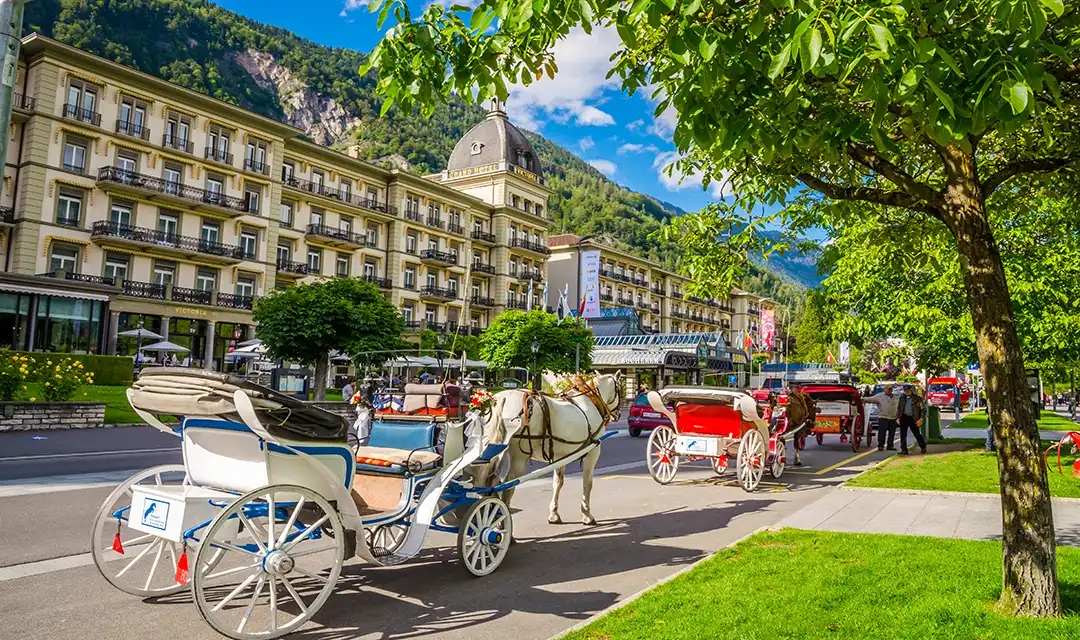 Tour highlight image