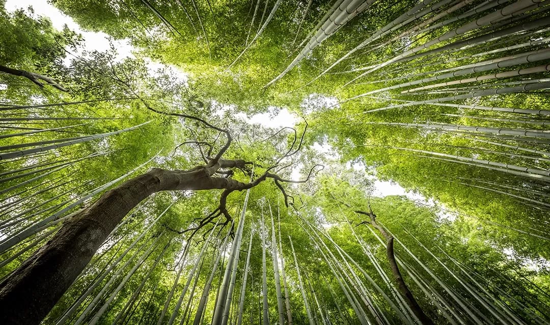 Tour highlight image