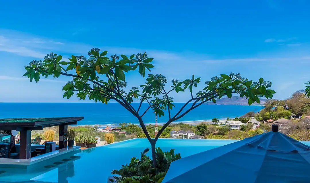 Tour highlight image