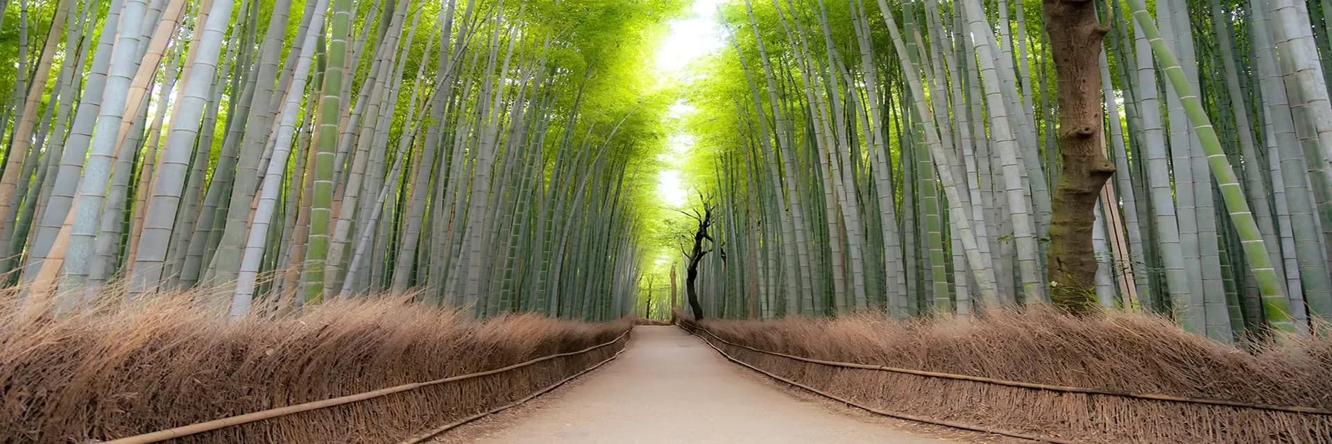 Itinerary destination image