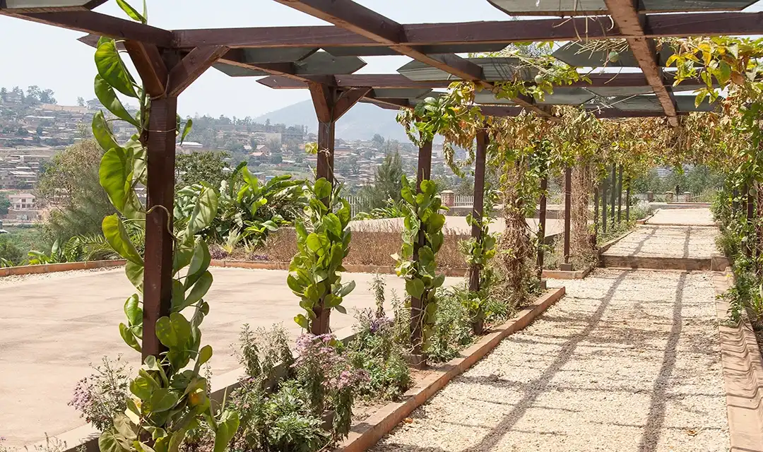 Tour highlight image