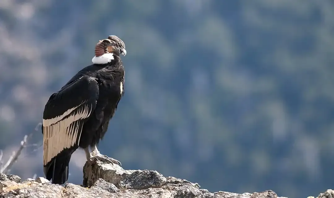 Tour highlight image