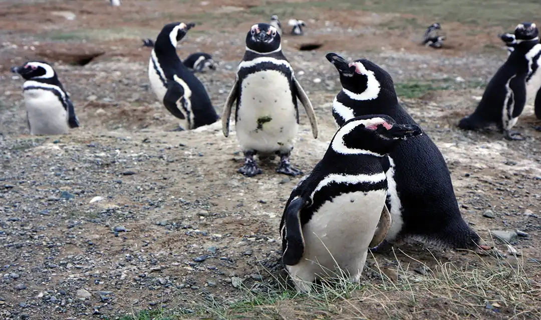 Tour highlight image