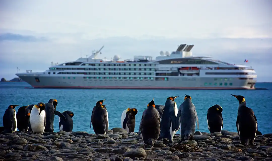 Antarctic Cruise