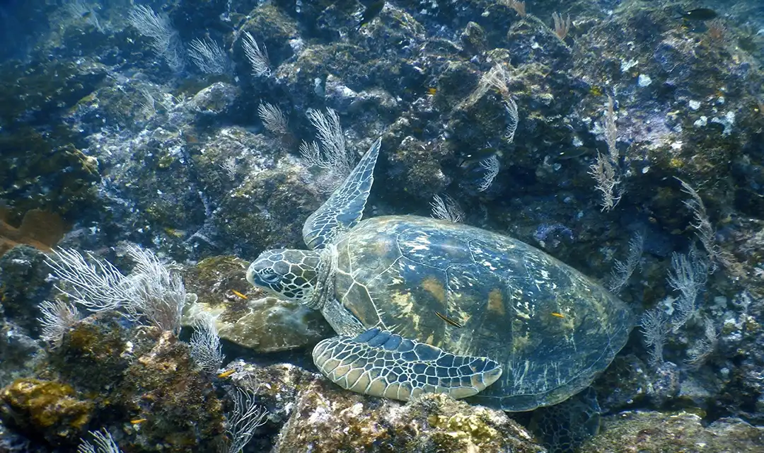 Tour highlight image