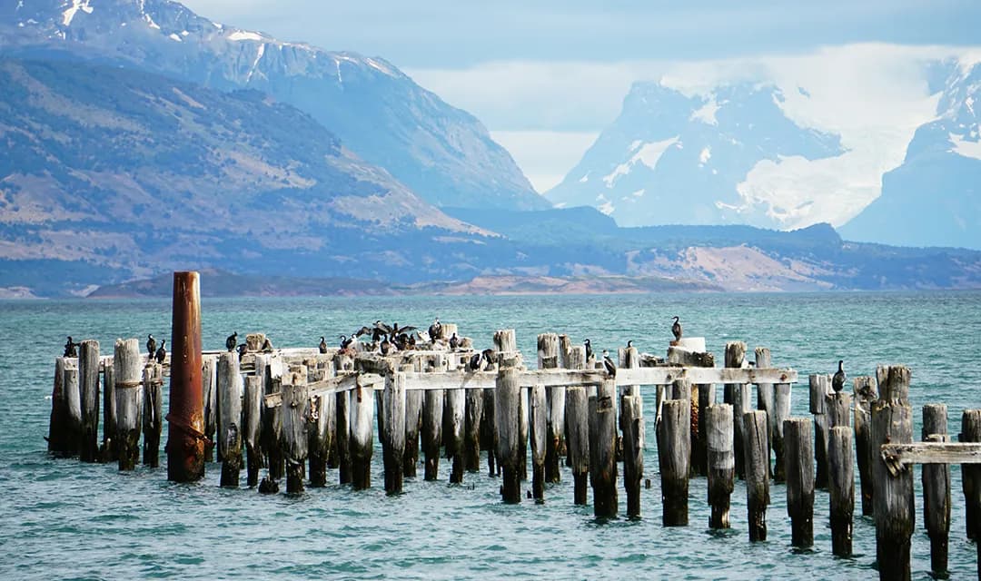 Arrival in Puerto Natales