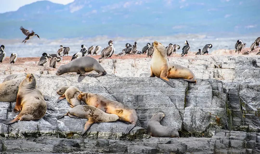 Tour highlight image