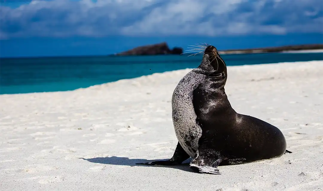 Tour highlight image