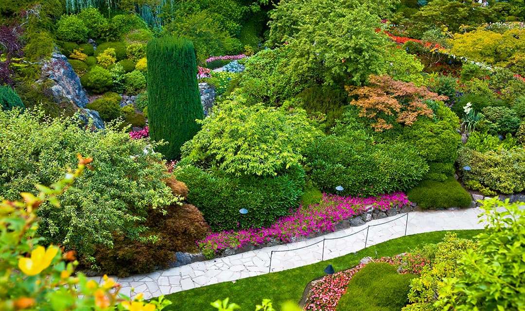 Tour highlight image