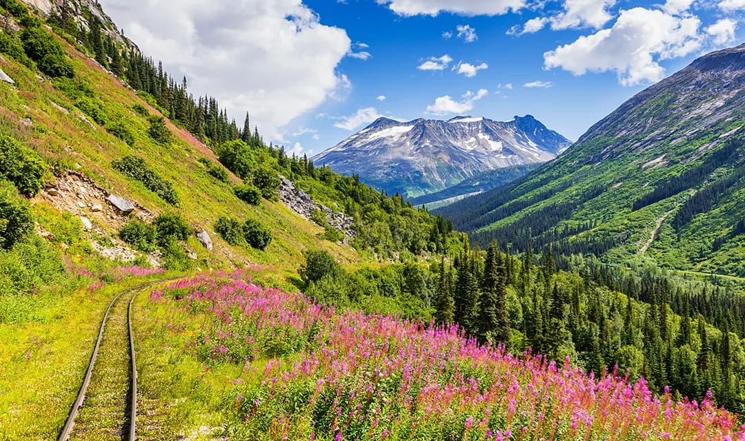 Tour highlight image