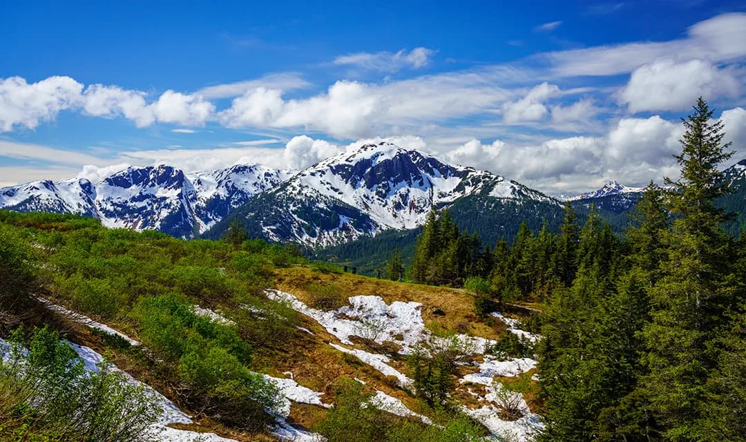 Tour highlight image