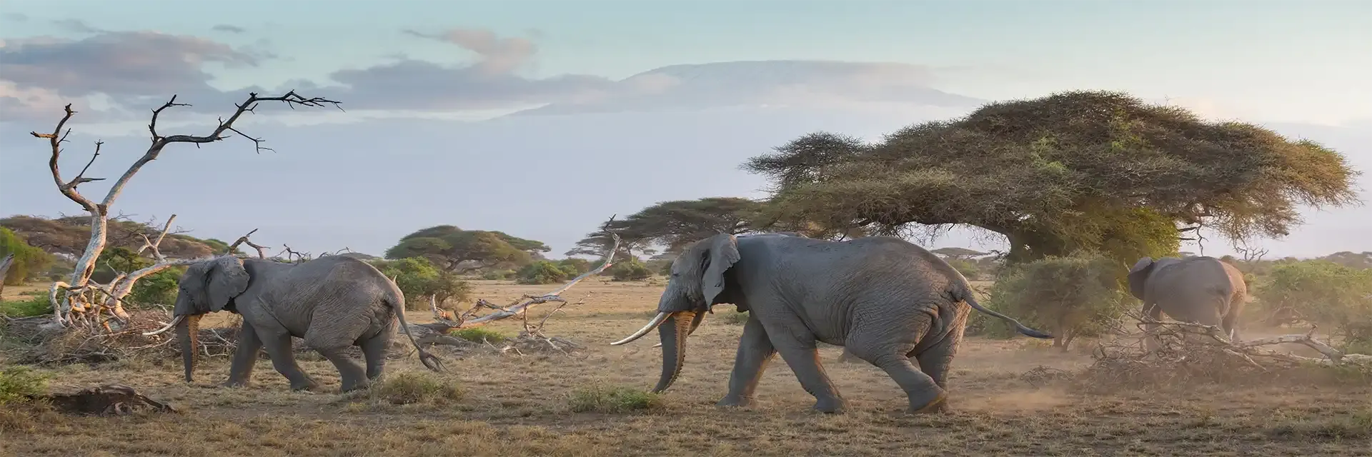 Itinerary destination image