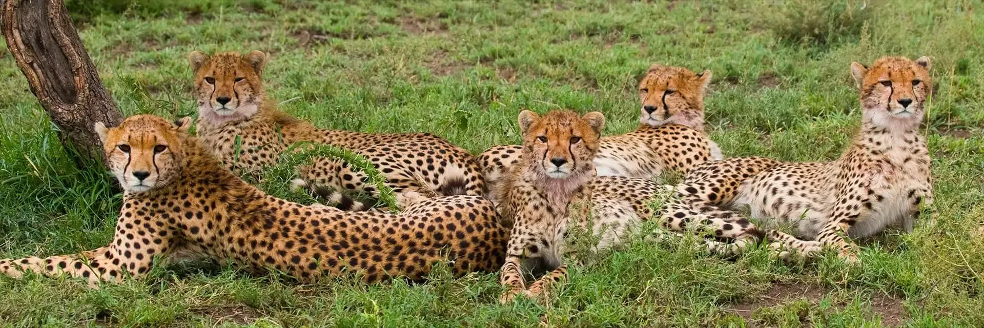 Itinerary destination image