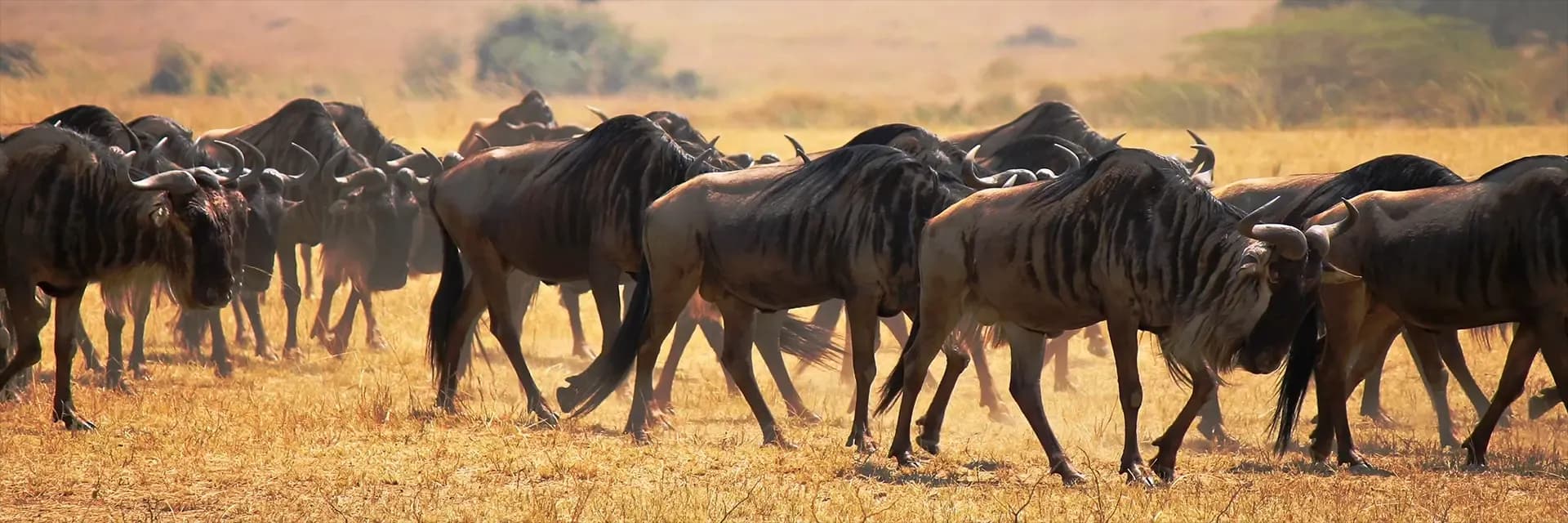 Itinerary destination image