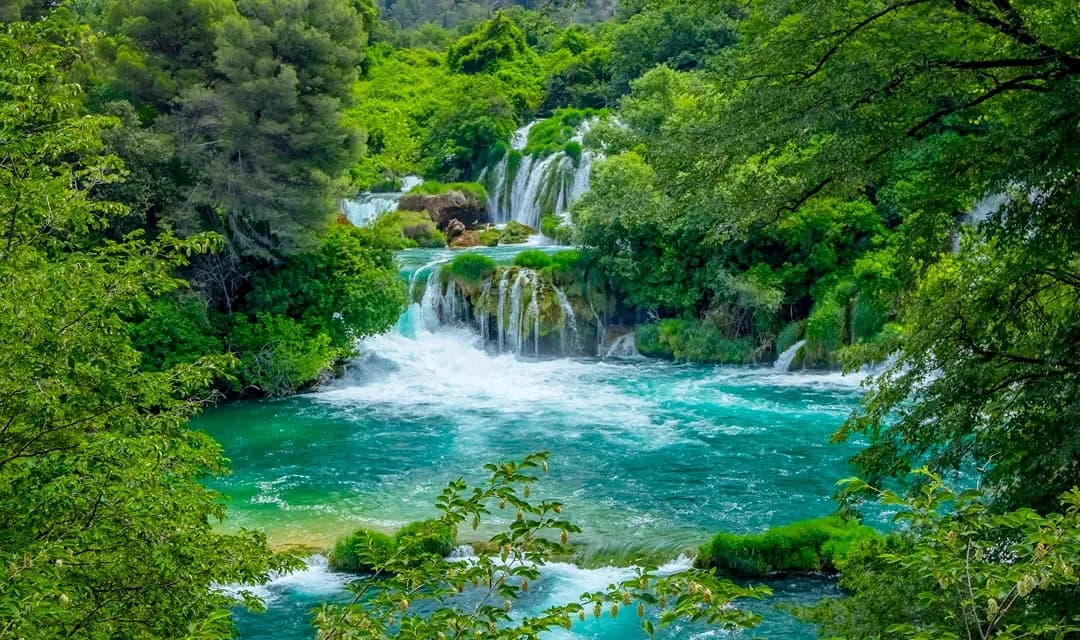 Tour highlight image