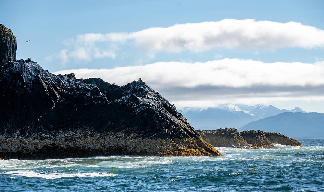 Pacific Realm Alaska Cruise