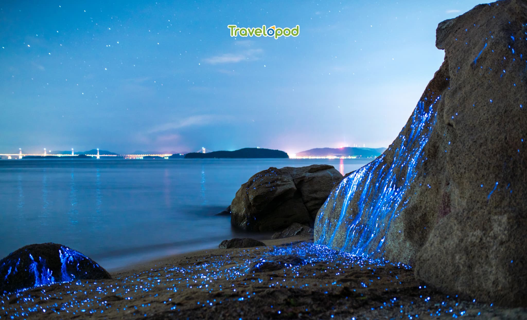 Mosquito Bay, Vieques, Puerto Rico