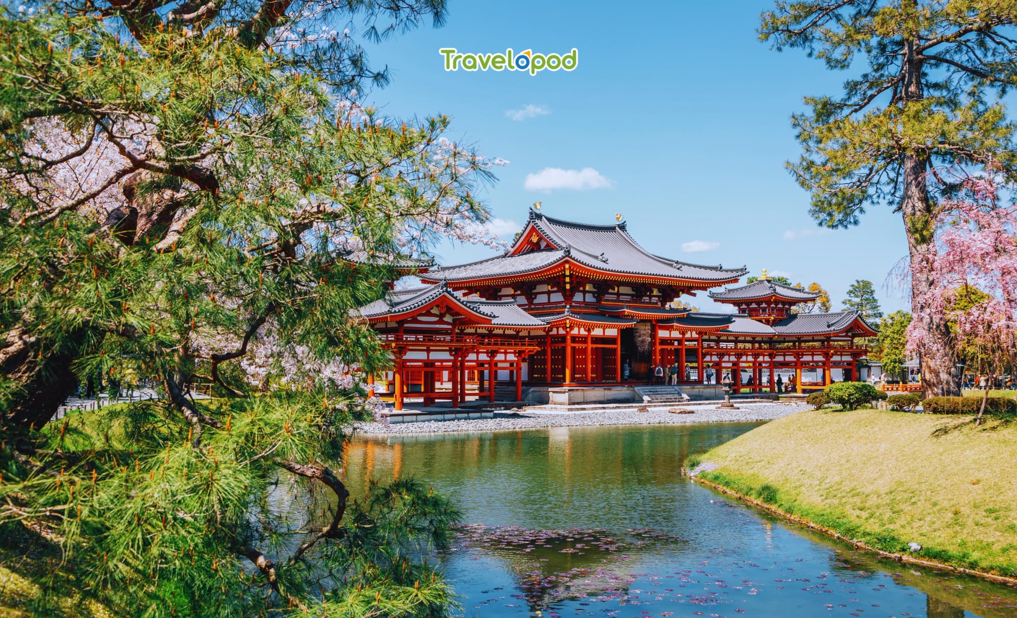 Kyoto's Serene Charm & Local Flavors