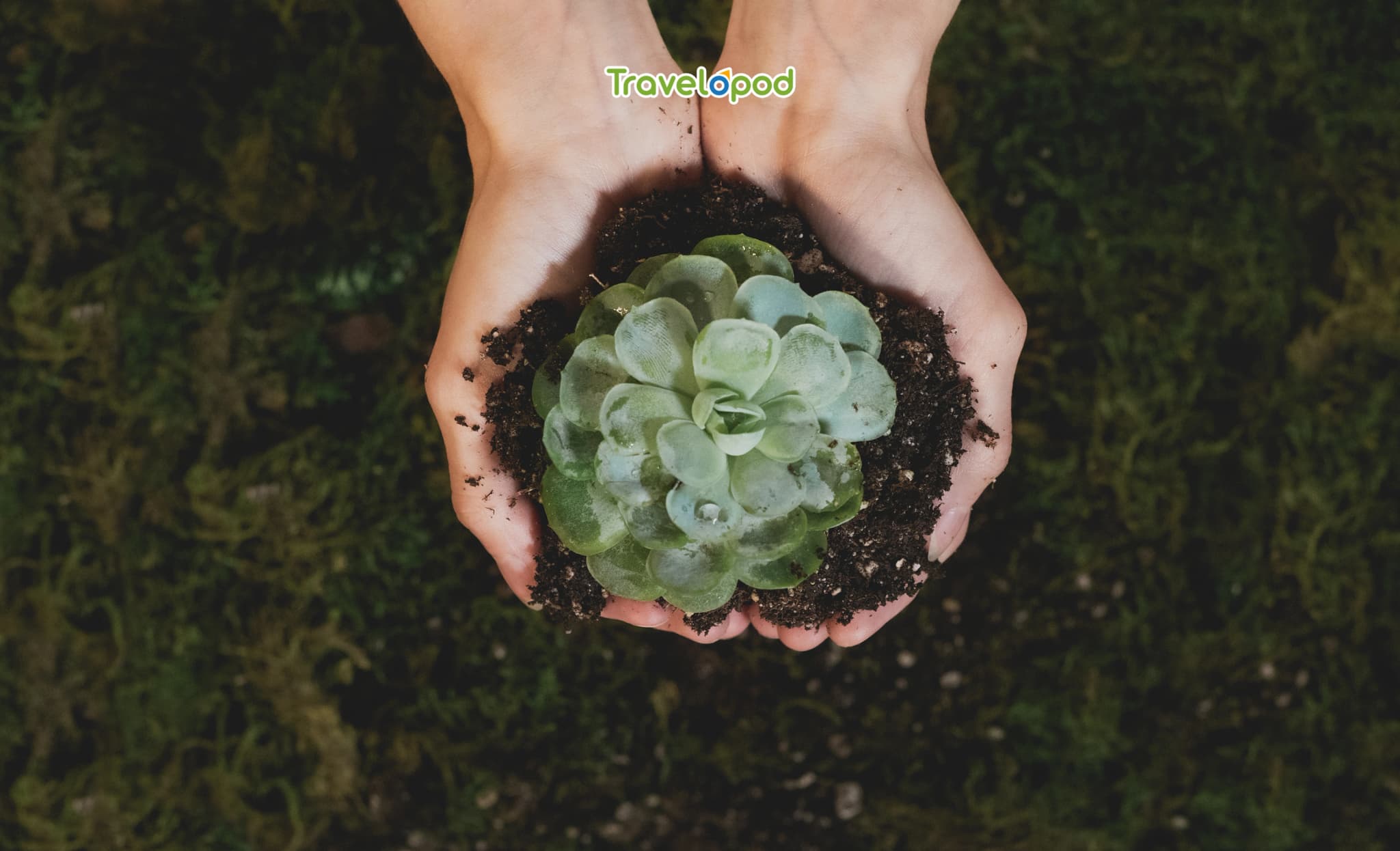 Sustainable Travel - Luxury That Leaves a Lighter Footprint