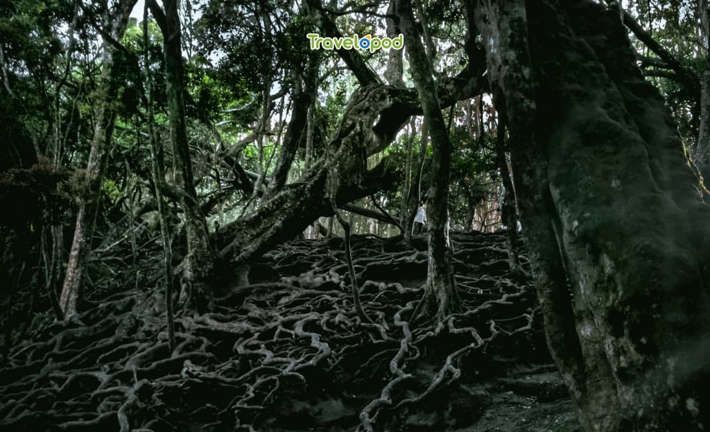 Guna Caves, Kodaikanal