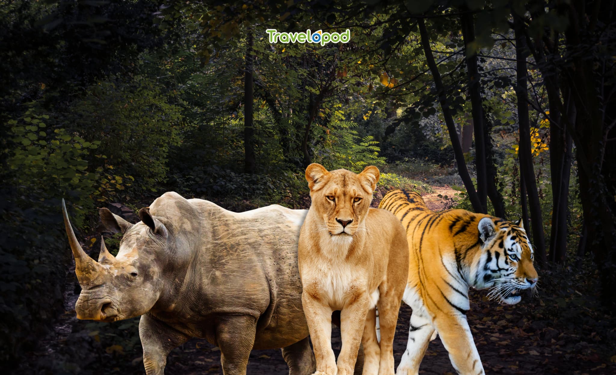 Serengeti National Park, Tanzania